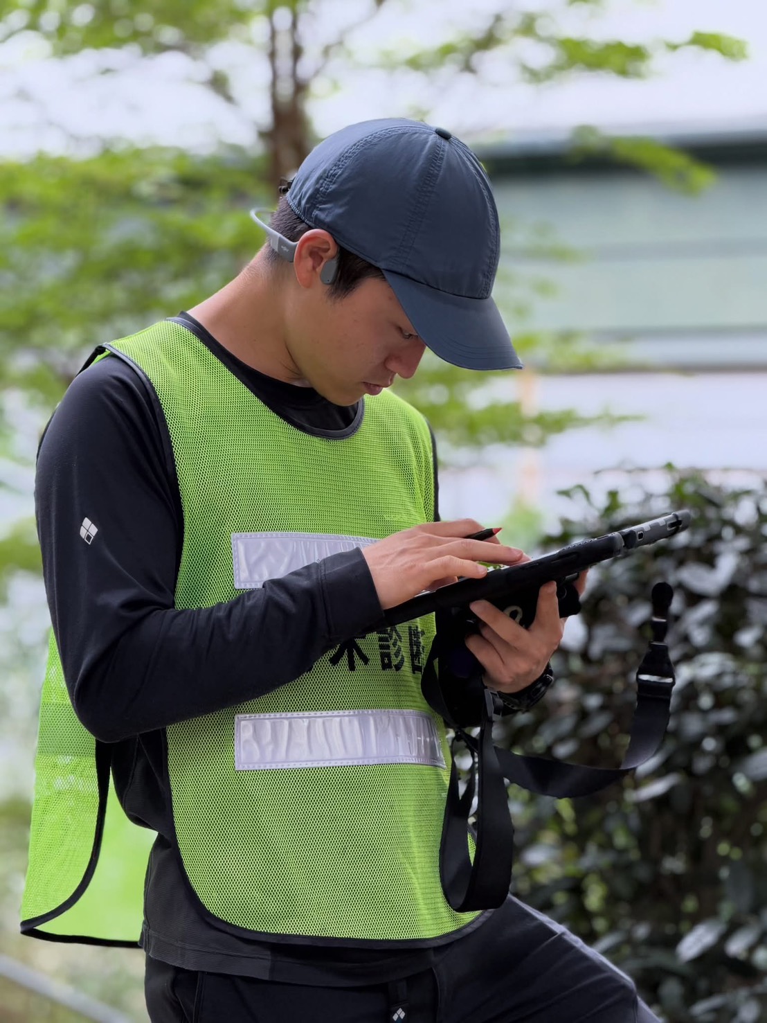 Urban tree field recording