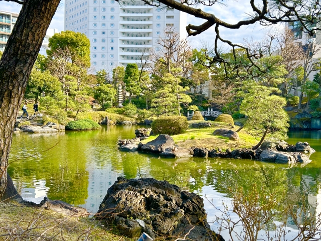 From Family Crest to Garden: How Kamon Plants Shaped Japanese Landscape Design