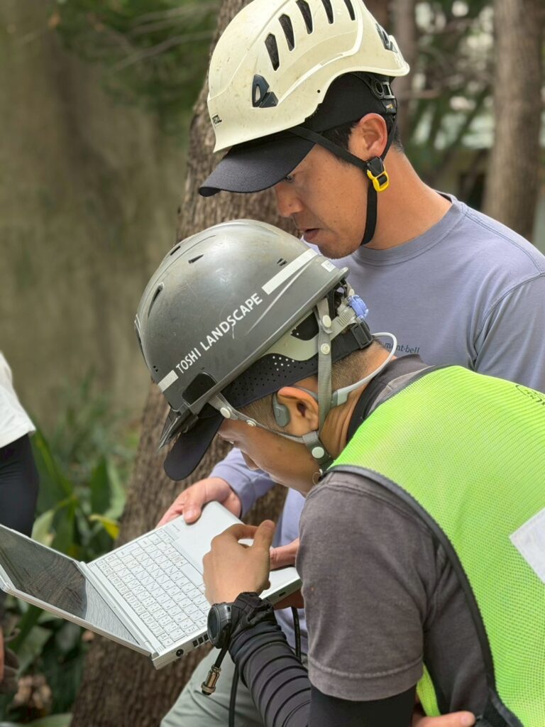 Aerial Tree Diagnosis at a Tokyo Temple: What Arborsonic 3D and Rope Climbing Revealed Inside the Trees
