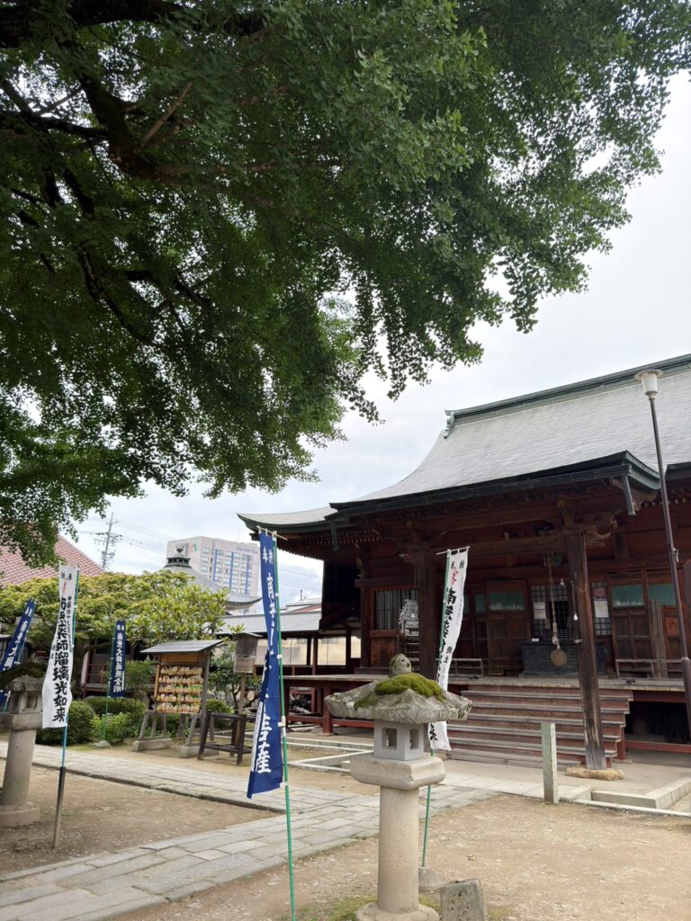 Massive gnarled trunk of the 1,200-year-old Hida Kokubunji ginkgo rising above the temple grounds