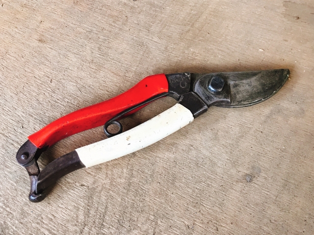 Japanese pruning shears with red-and-white handles