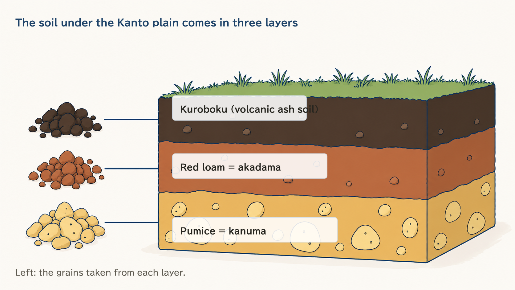Cross-section diagram of soil layers in the Kanto region, with black volcanic topsoil over red subsoil over pumice