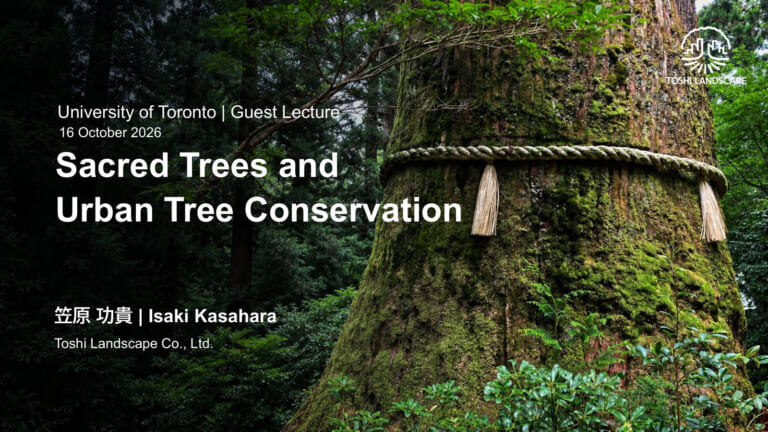 Shinboku: Japan’s Sacred Trees, Explained by an Arborist
