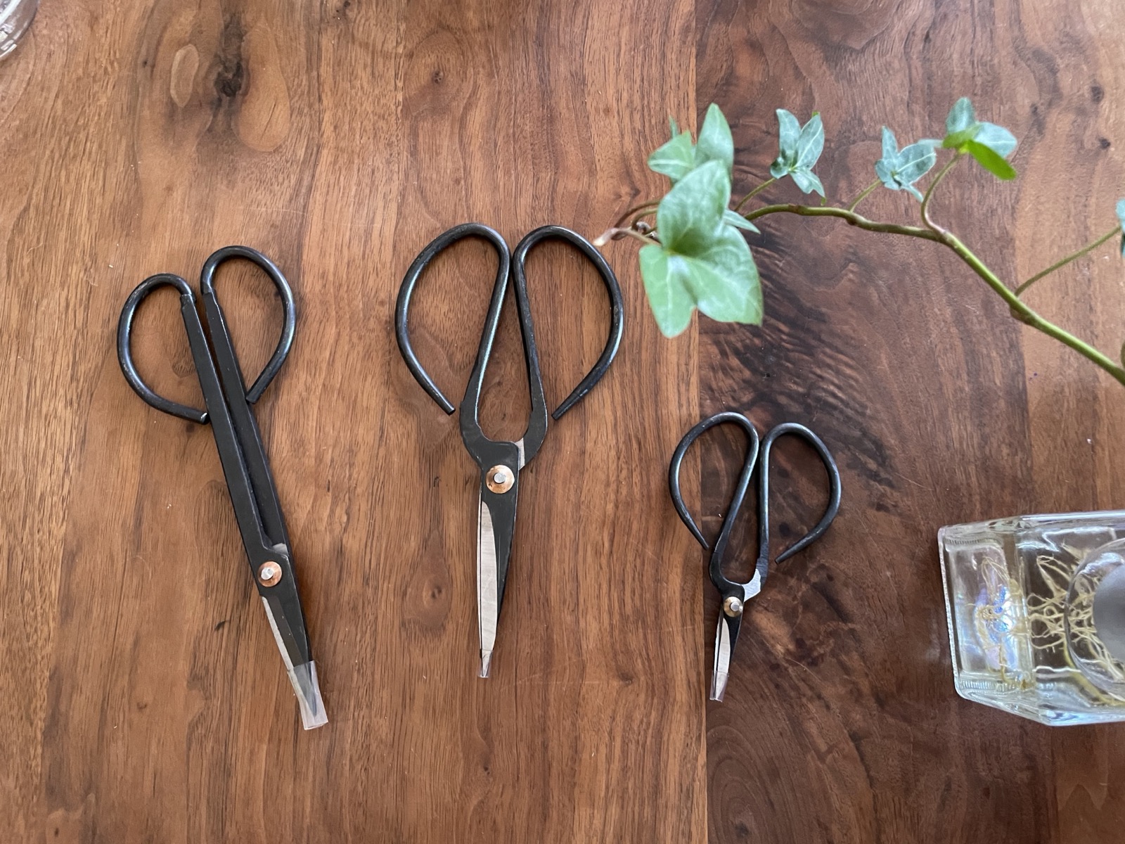 Three Japanese garden shears laid out on a wooden board