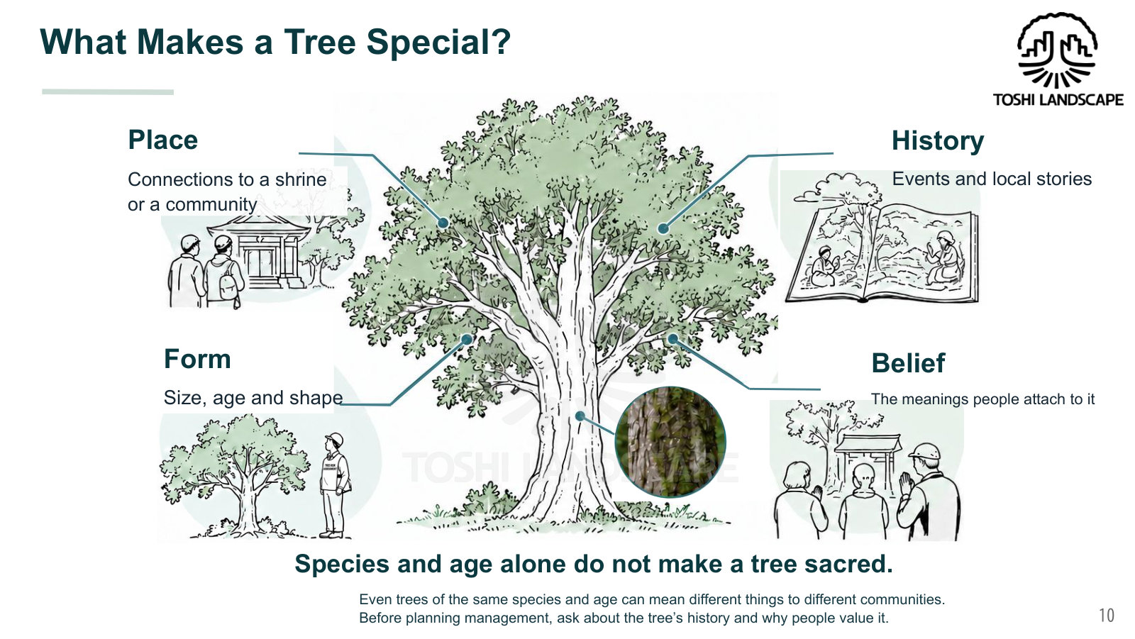 Lecture slide showing four elements that make a tree special