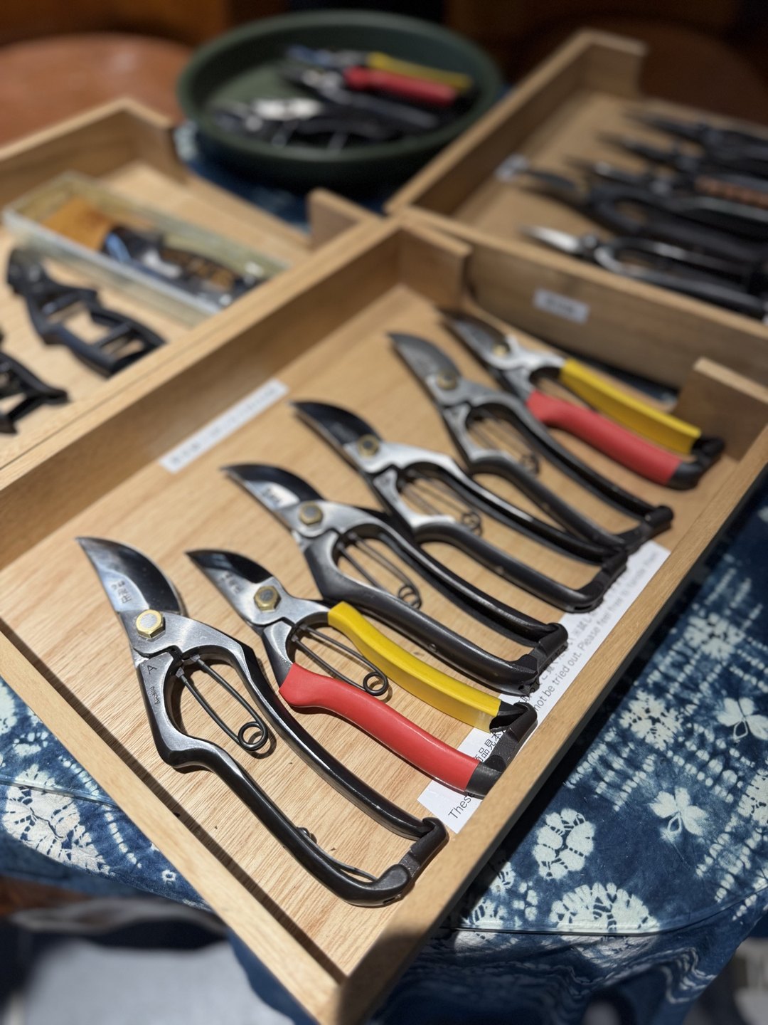 A tray of shears with red-yellow grips plus black handles