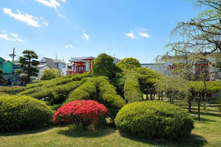 Garyu no Matsu (Reclining Dragon Pine), Jushoin Temple